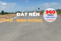 Các sản phẩm đất nền tại dự án Đông Bình Dương 2022